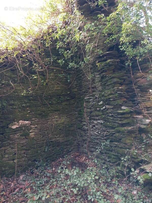 Terrain à SAINT-ETIENNE-VALLEE-FRANCAISE