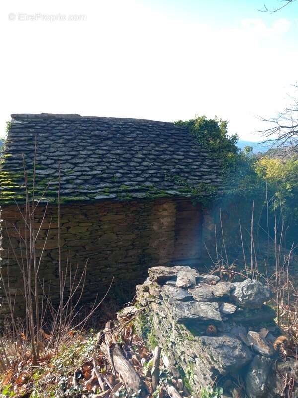 Terrain à SAINT-ETIENNE-VALLEE-FRANCAISE