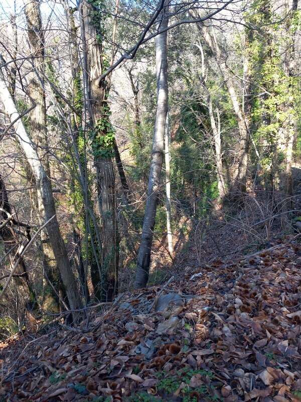 Terrain à SAINT-ETIENNE-VALLEE-FRANCAISE