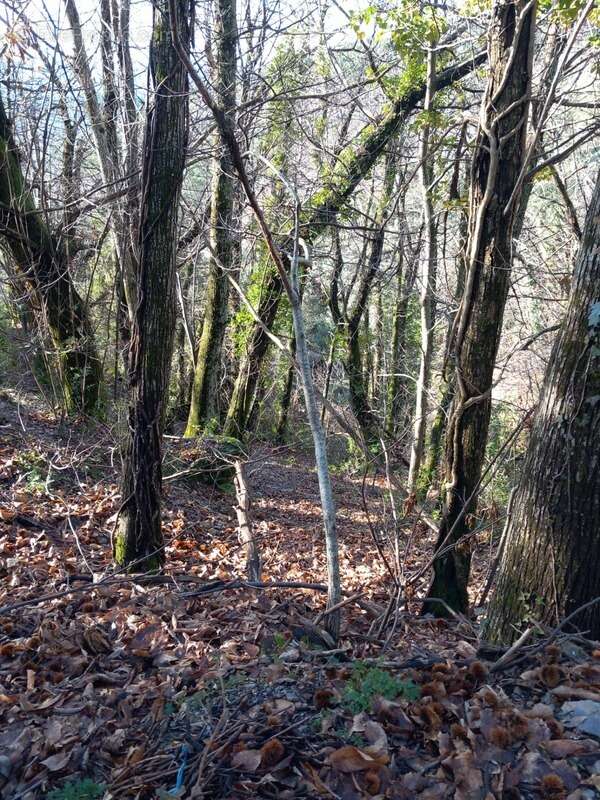 Terrain à SAINT-ETIENNE-VALLEE-FRANCAISE