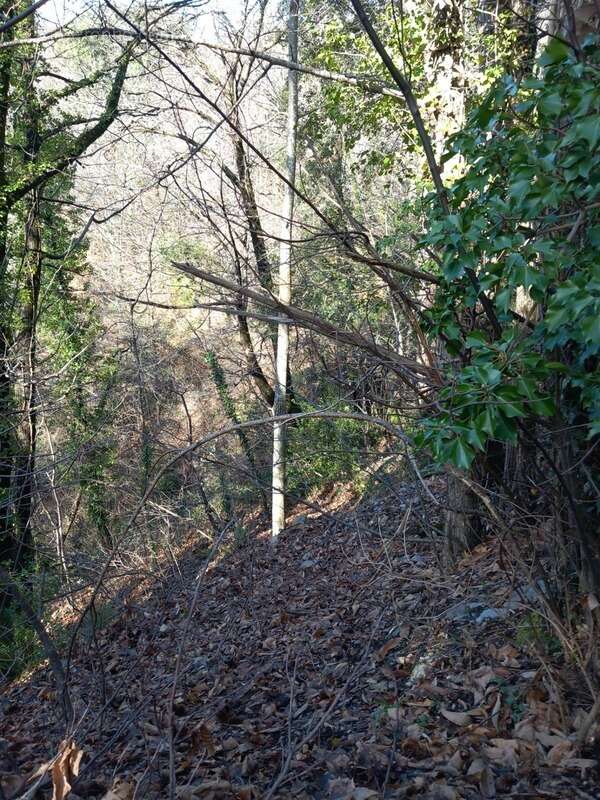 Terrain à SAINT-ETIENNE-VALLEE-FRANCAISE