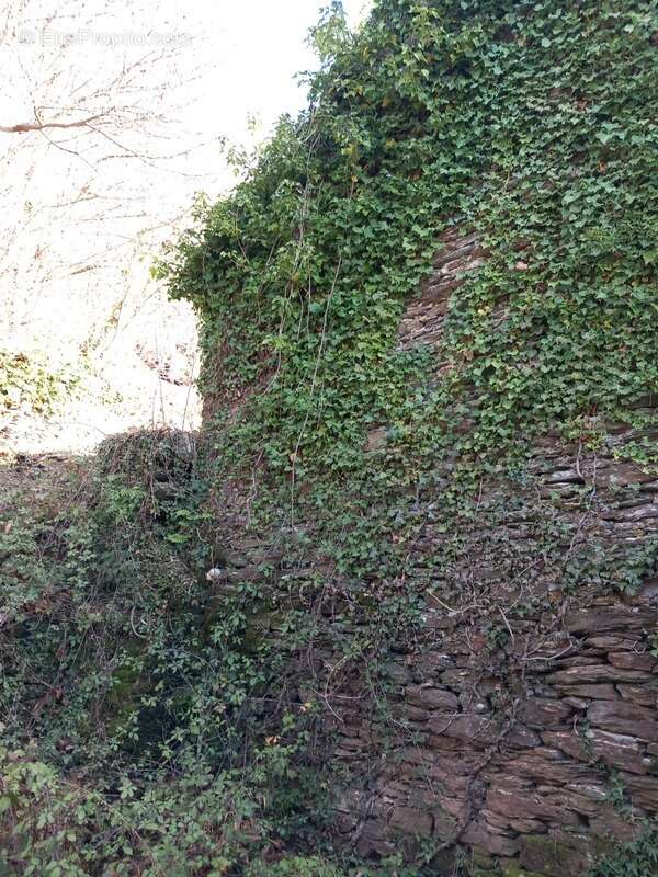 Terrain à SAINT-ETIENNE-VALLEE-FRANCAISE