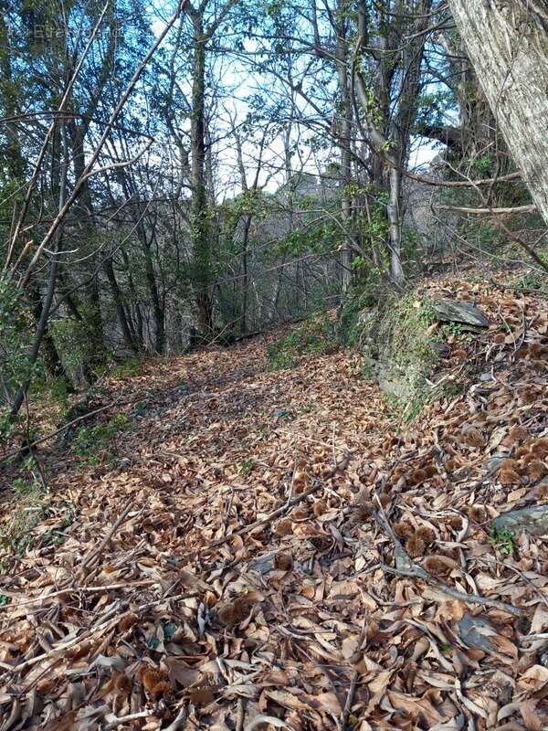 Terrain à SAINT-ETIENNE-VALLEE-FRANCAISE