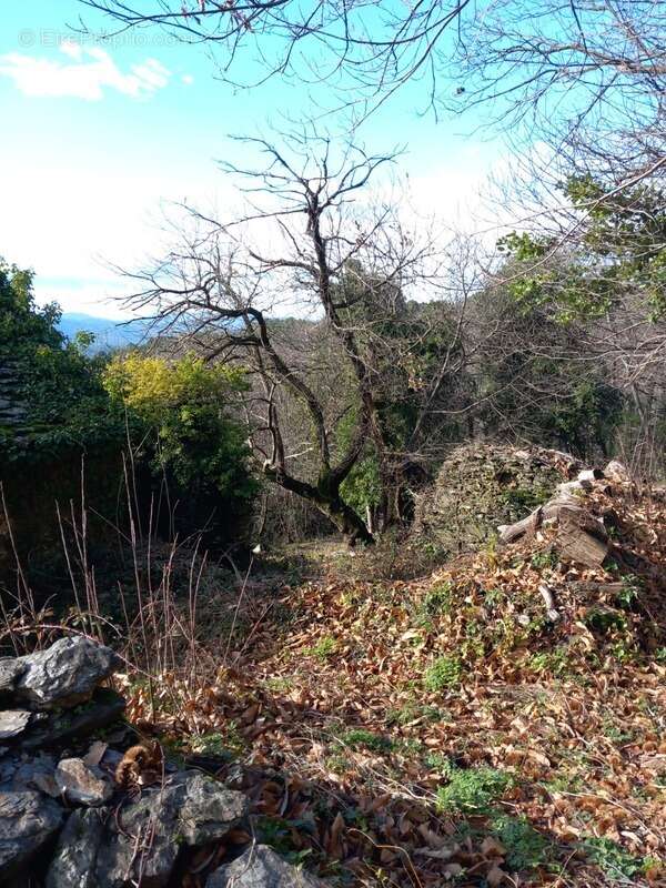 Terrain à SAINT-ETIENNE-VALLEE-FRANCAISE
