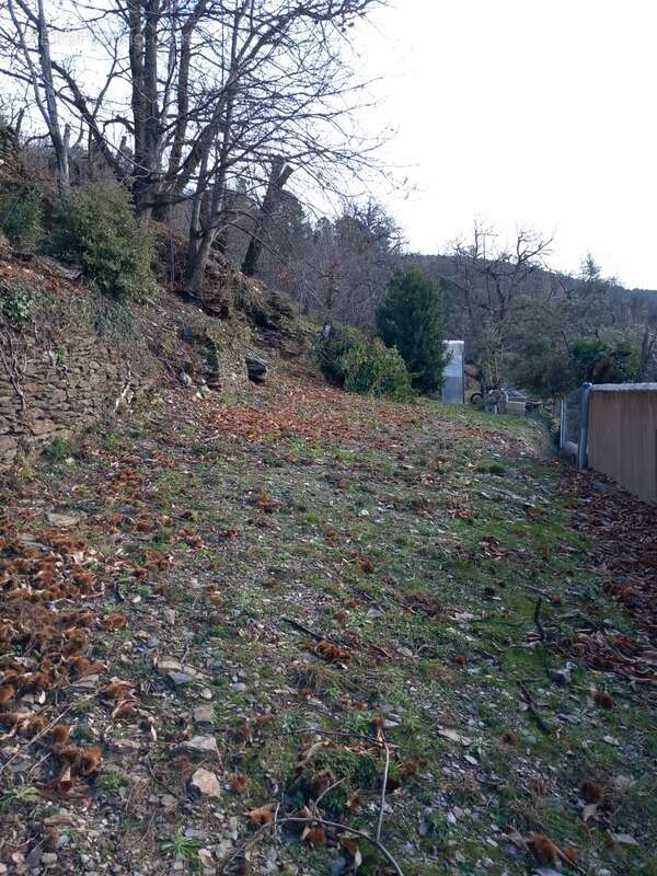 Terrain à SAINT-ETIENNE-VALLEE-FRANCAISE
