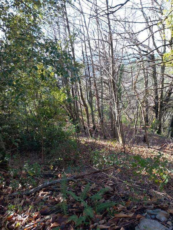 Terrain à SAINT-ETIENNE-VALLEE-FRANCAISE