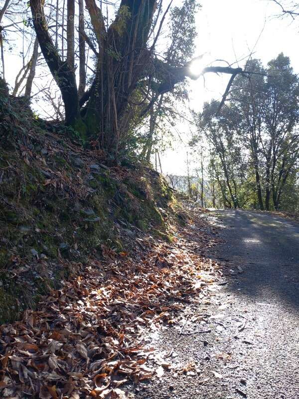 Terrain à SAINT-ETIENNE-VALLEE-FRANCAISE