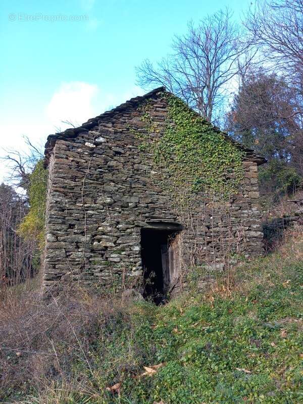 Terrain à SAINT-ETIENNE-VALLEE-FRANCAISE