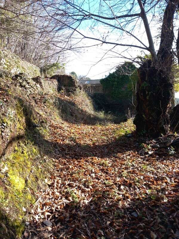 Terrain à SAINT-ETIENNE-VALLEE-FRANCAISE