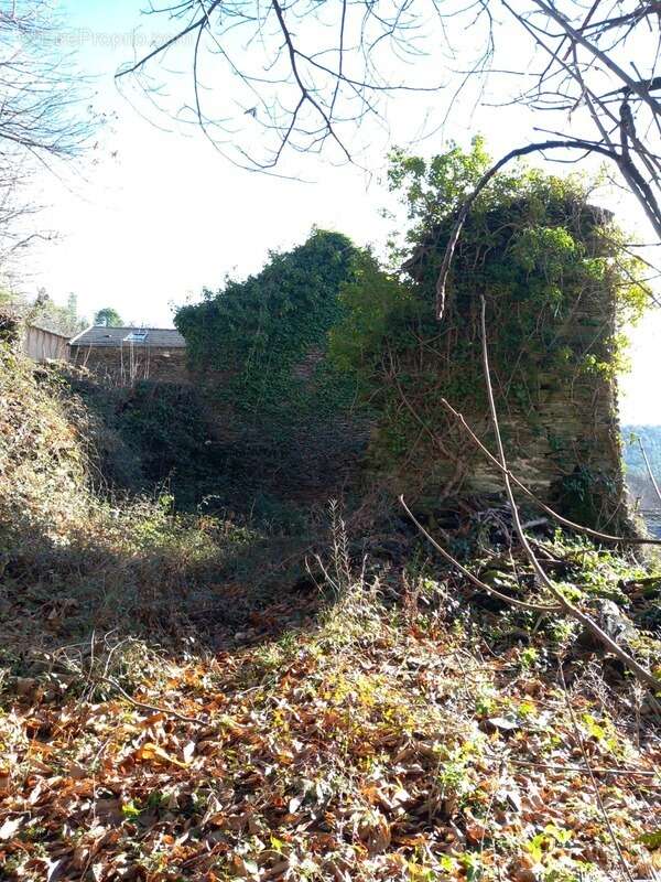 Terrain à SAINT-ETIENNE-VALLEE-FRANCAISE