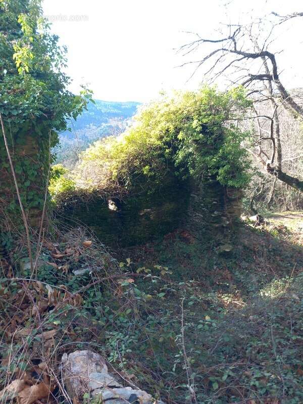 Terrain à SAINT-ETIENNE-VALLEE-FRANCAISE