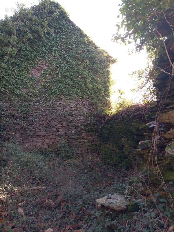 Terrain à SAINT-ETIENNE-VALLEE-FRANCAISE