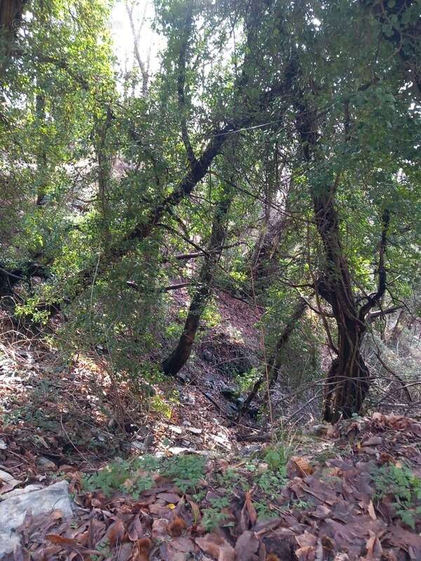 Terrain à SAINT-ETIENNE-VALLEE-FRANCAISE