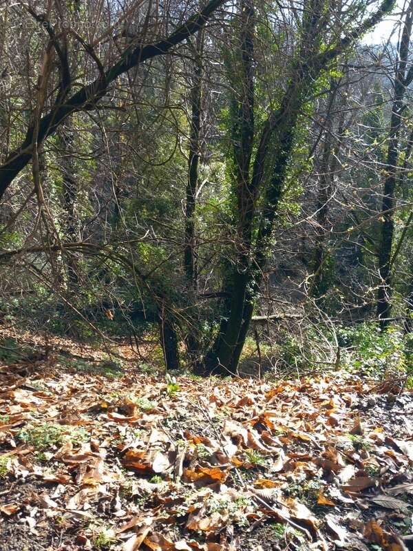Terrain à SAINT-ETIENNE-VALLEE-FRANCAISE