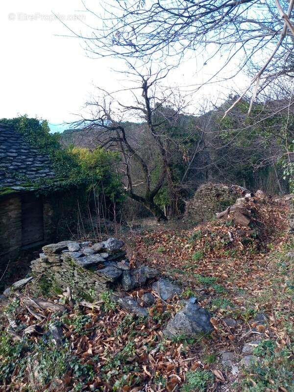 Terrain à SAINT-ETIENNE-VALLEE-FRANCAISE