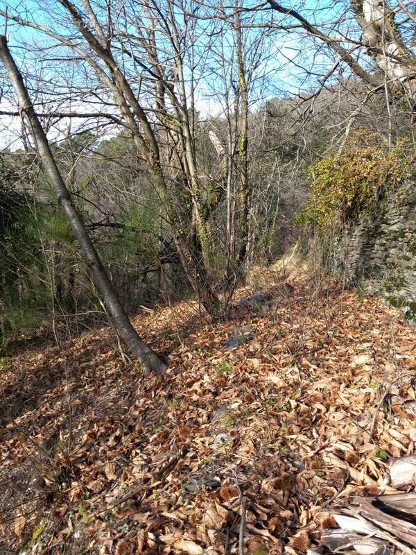 Terrain à SAINT-ETIENNE-VALLEE-FRANCAISE