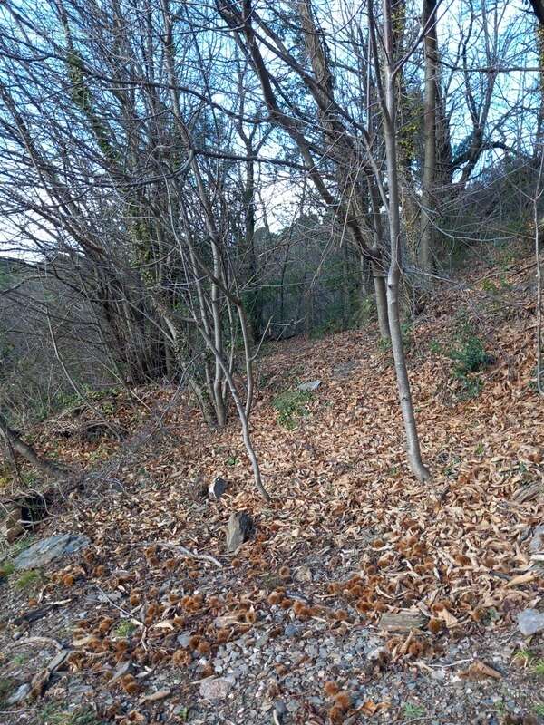 Terrain à SAINT-ETIENNE-VALLEE-FRANCAISE