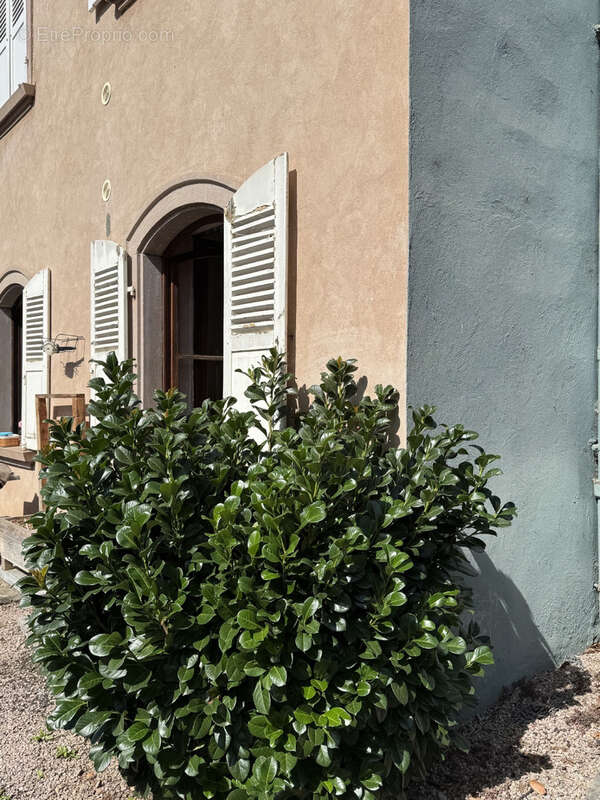 Appartement à VILLE