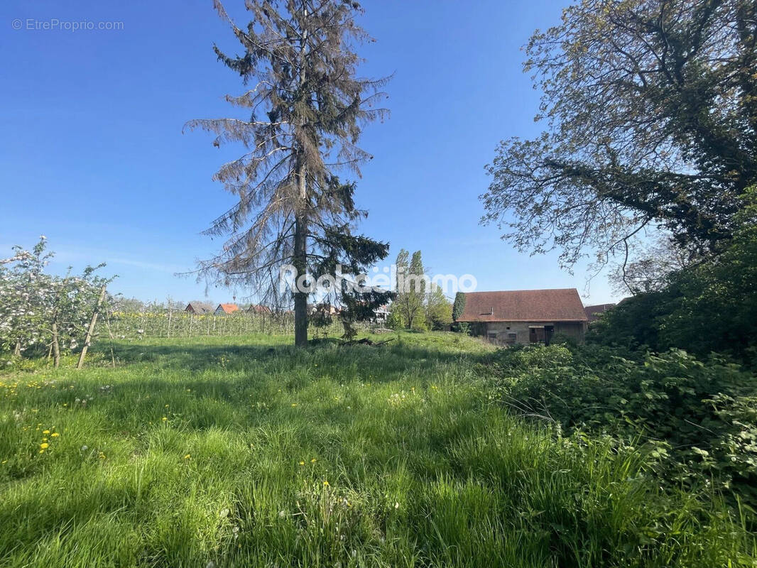 Maison à TRUCHTERSHEIM