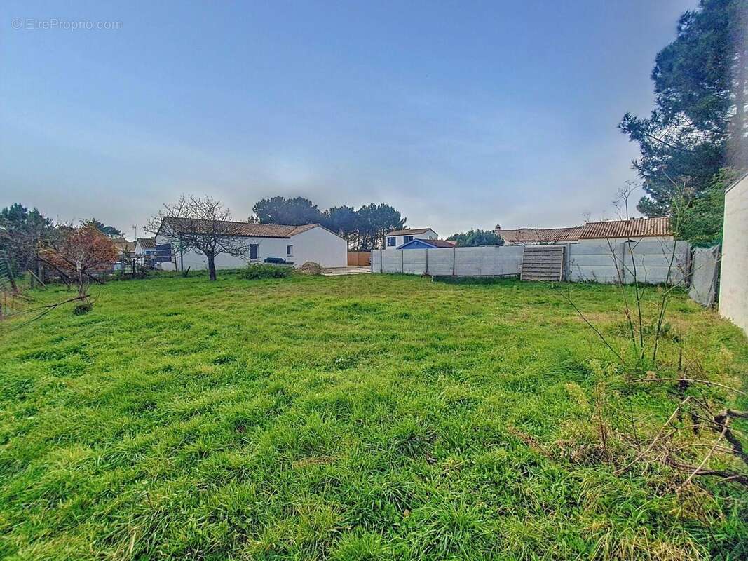 Photo 2 - Terrain à SAINT-HILAIRE-DE-RIEZ