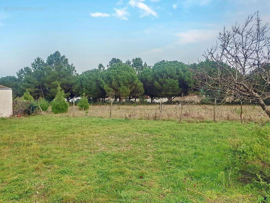 Photo 3 - Terrain à SAINT-HILAIRE-DE-RIEZ