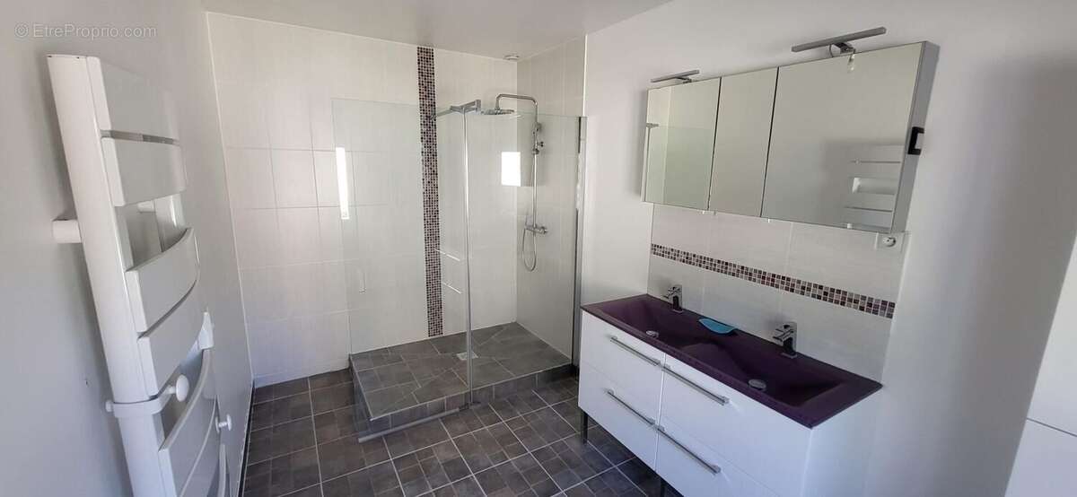 Photo 6 - Maison à COUSSAY-LES-BOIS