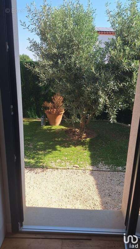 Photo 3 - Maison à MAUREILLAS-LAS-ILLAS