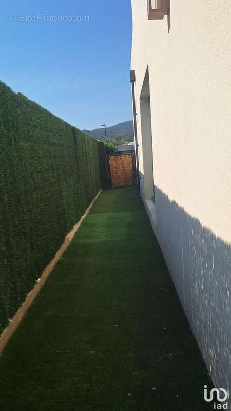 Photo 6 - Maison à MAUREILLAS-LAS-ILLAS