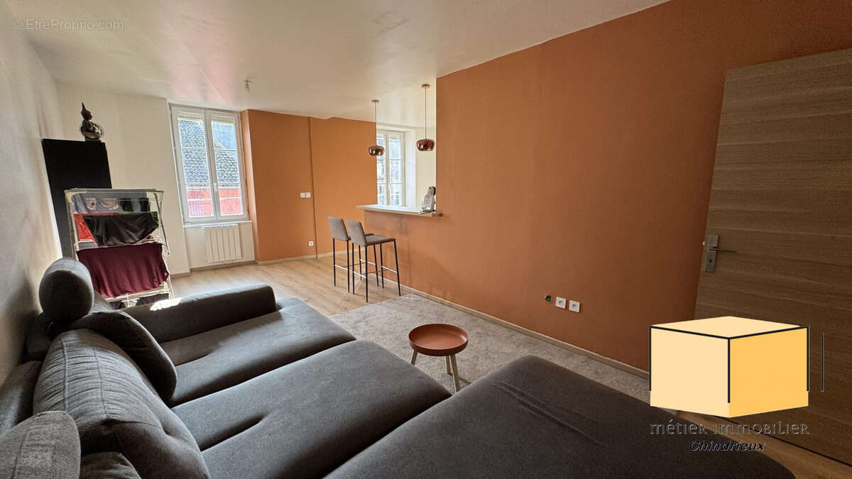 Séjour T3 2ème étage - Appartement à SEYSSEL