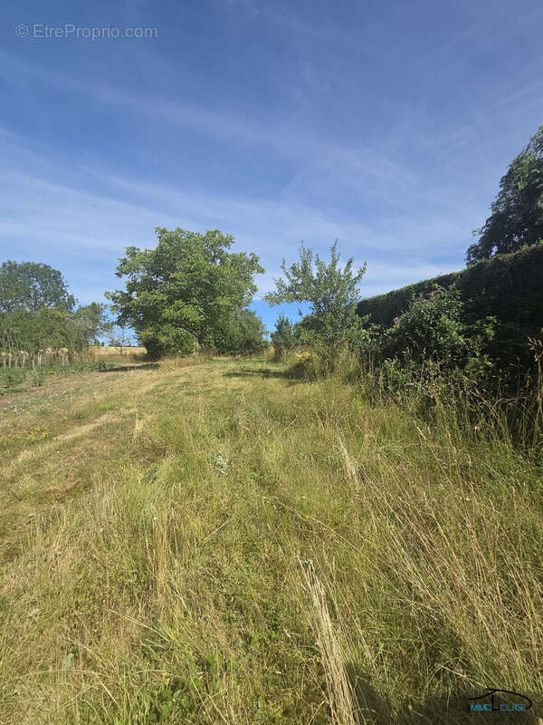 Maison à BRANDONNET