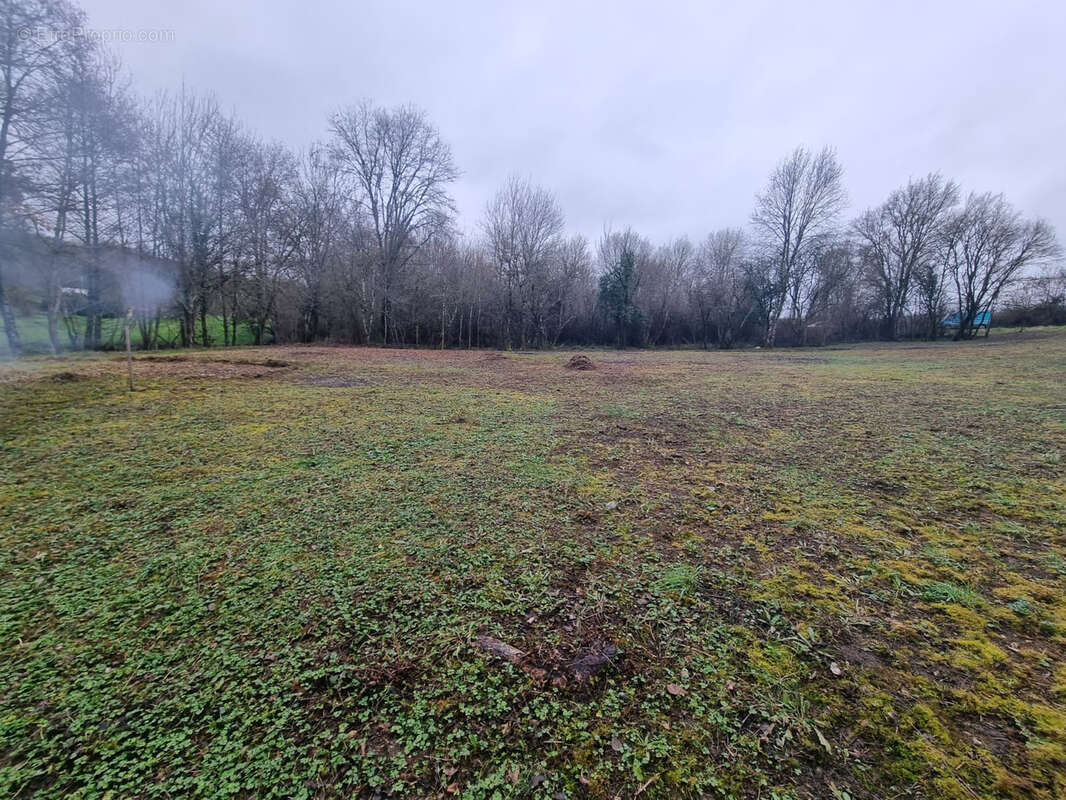 Terrain à BONNEUIL-MATOURS