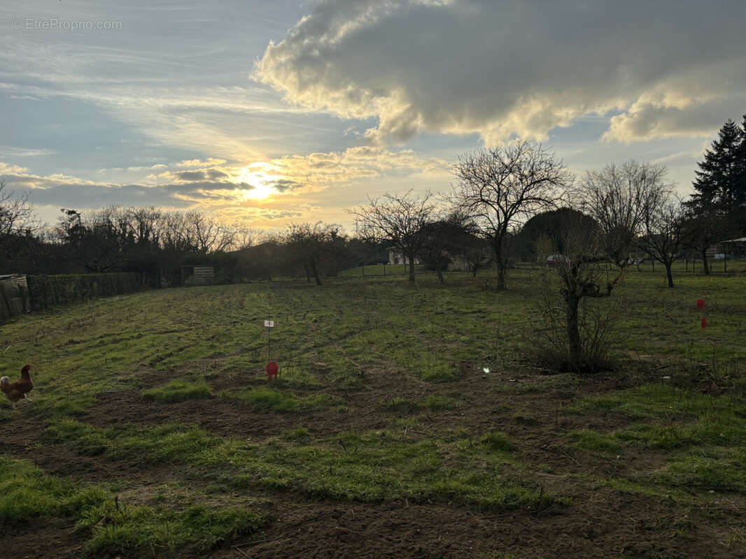 Terrain à LENCLOITRE