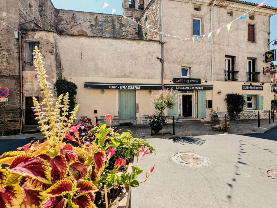 Commerce à SAINT-GERVAIS-SUR-MARE