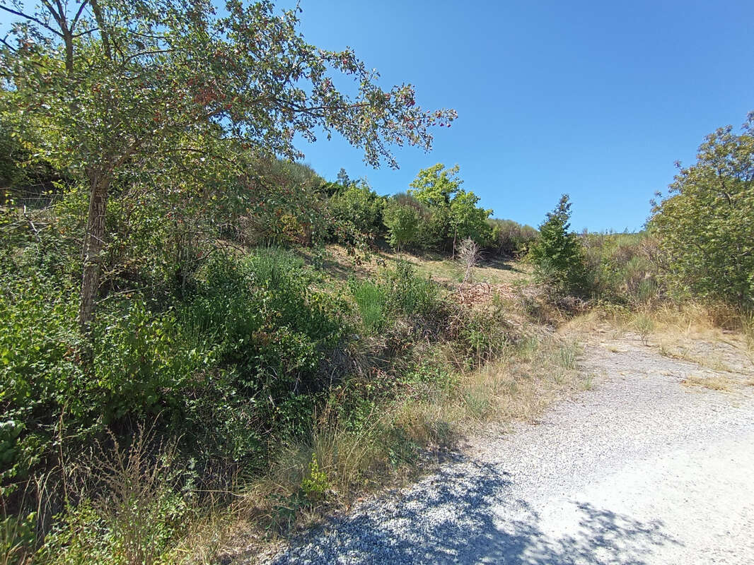 Terrain à SAINT-PRIEST