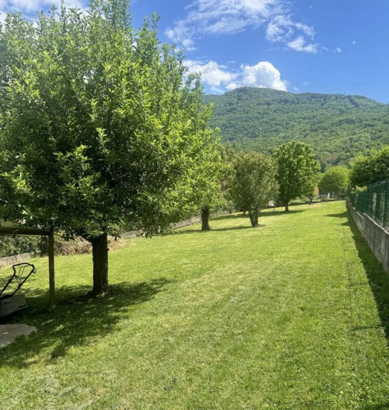 Terrain à SAINT-PIERRE-DE-MESAGE