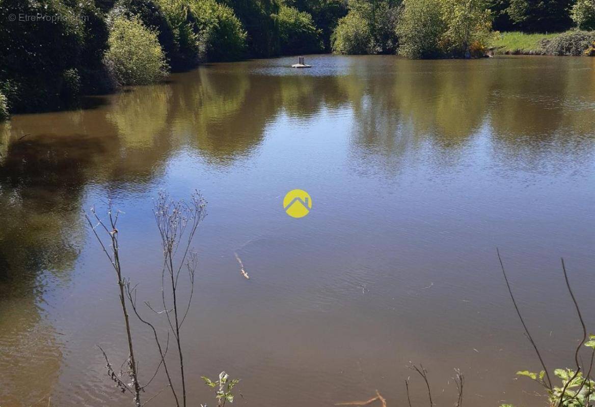 Terrain à NERIS-LES-BAINS