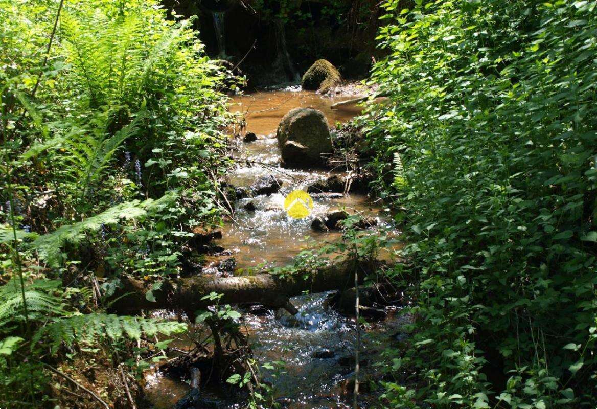 Terrain à NERIS-LES-BAINS