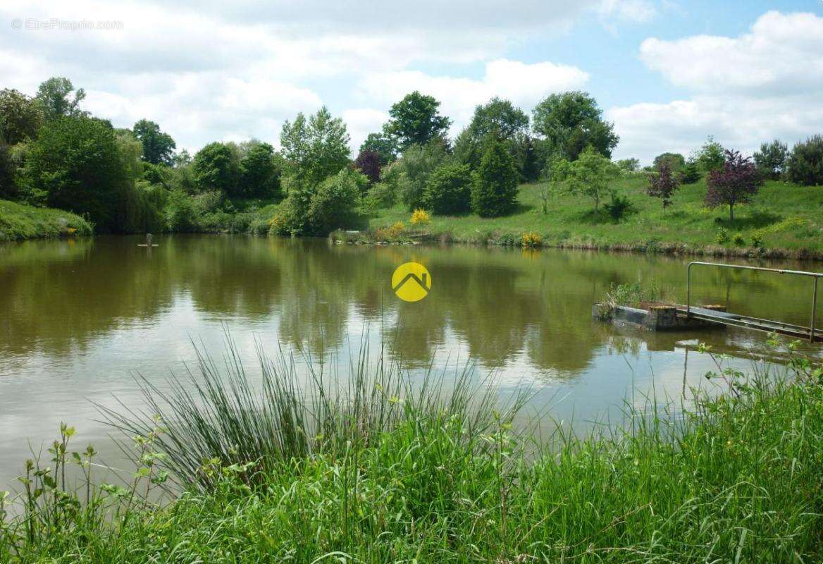 Terrain à NERIS-LES-BAINS