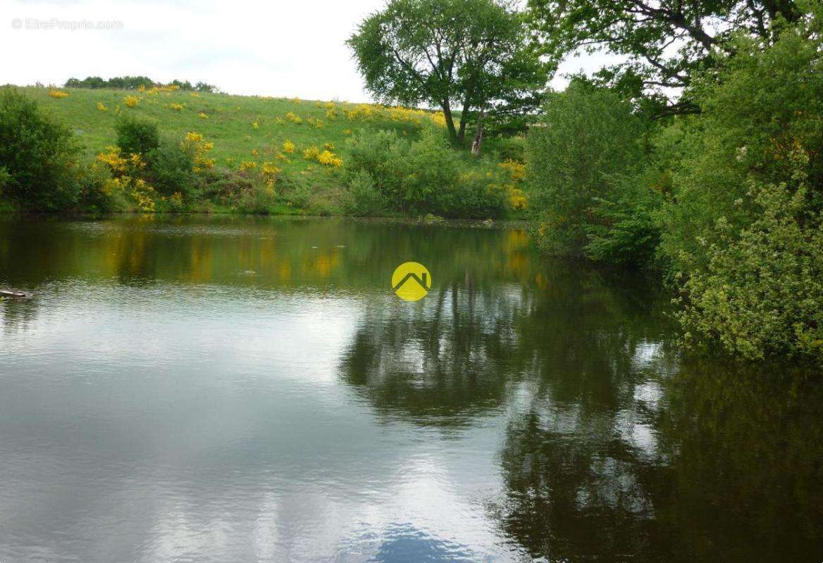 Terrain à NERIS-LES-BAINS