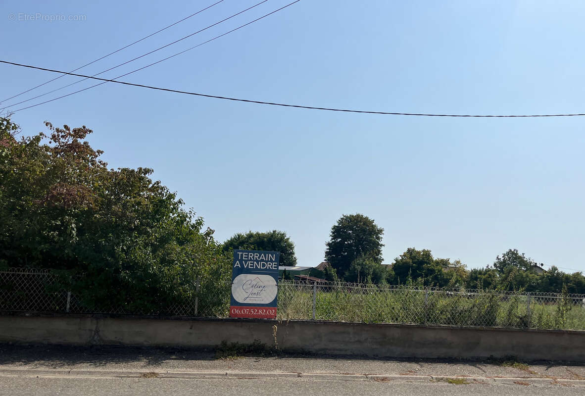 Terrain à SAASENHEIM