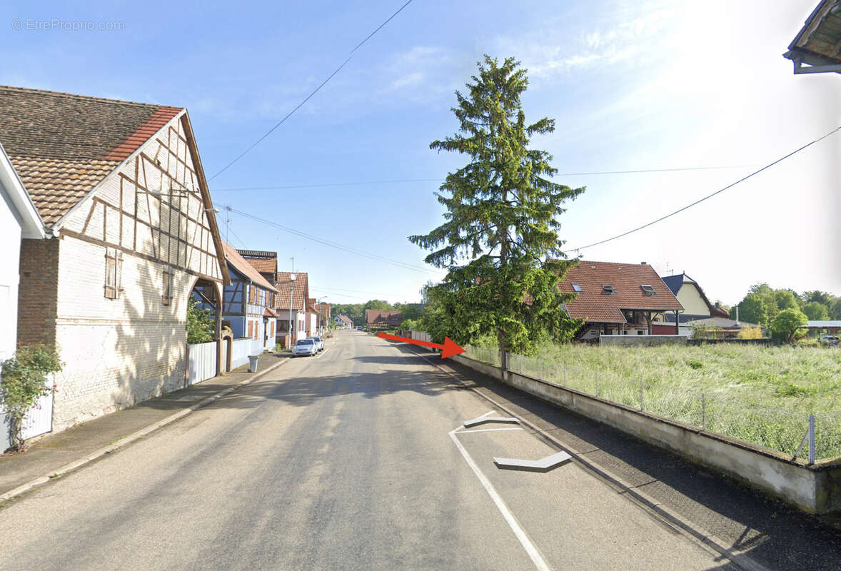 Terrain à SAASENHEIM