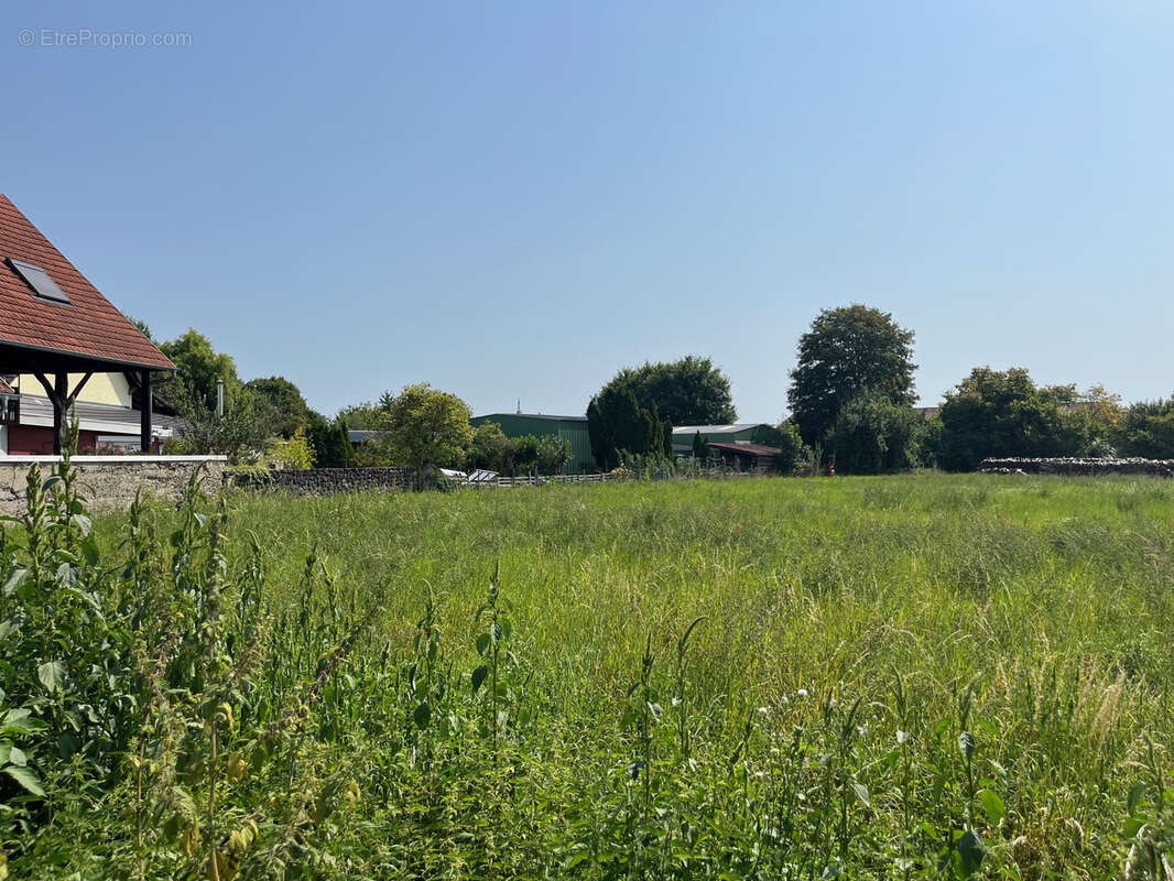 Terrain à SAASENHEIM