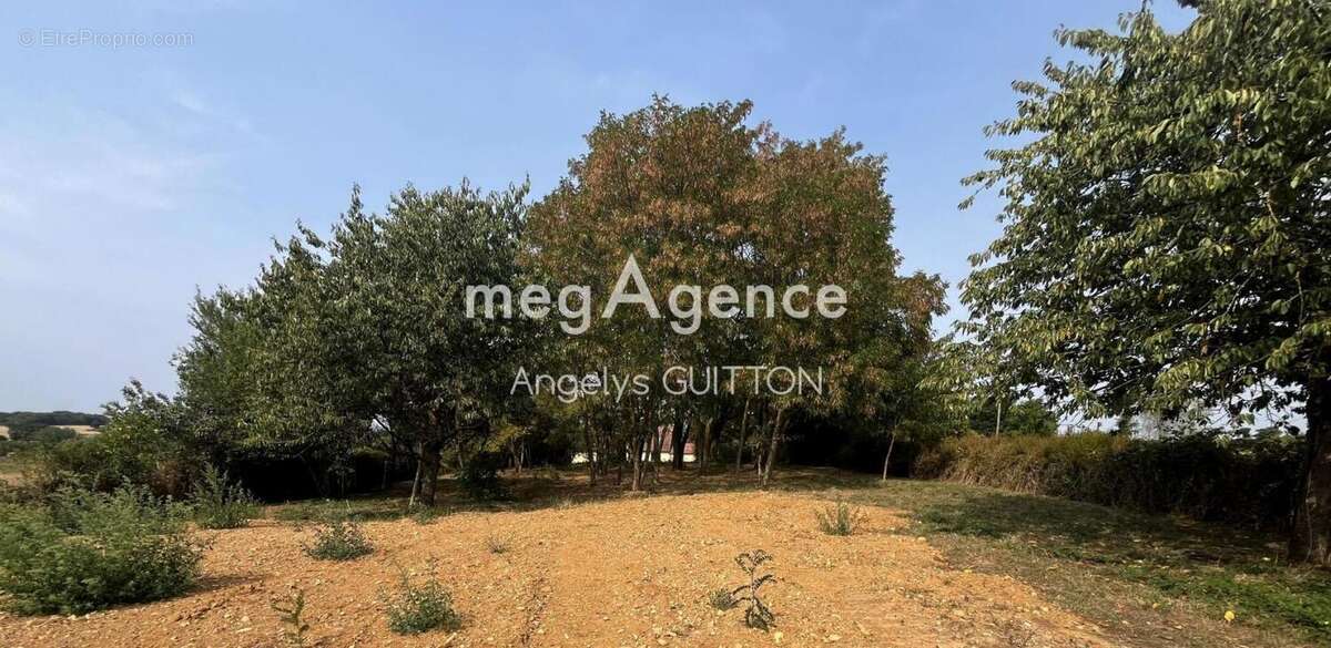 Maison à BEAUMONT-SUR-SARTHE