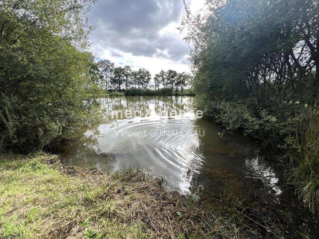 Terrain à BEGROLLES-EN-MAUGES