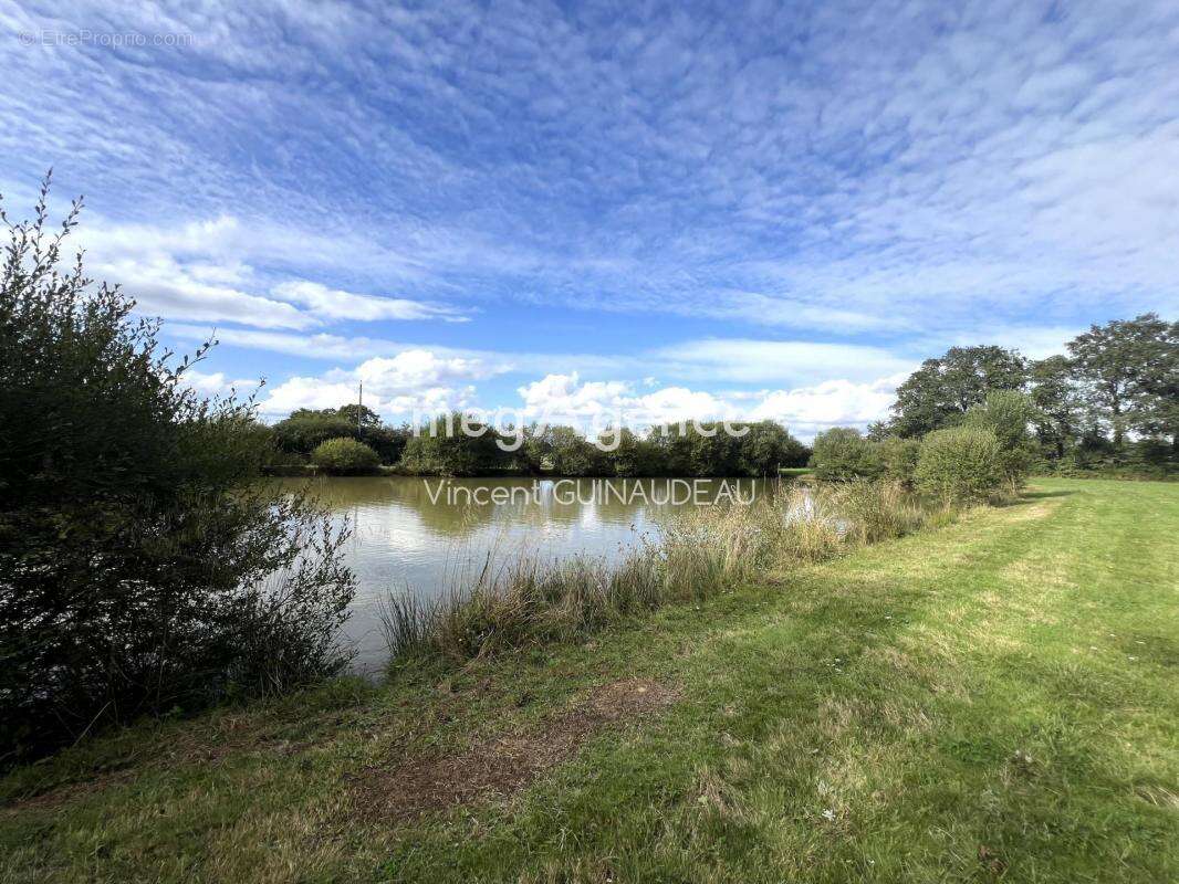 Terrain à BEGROLLES-EN-MAUGES