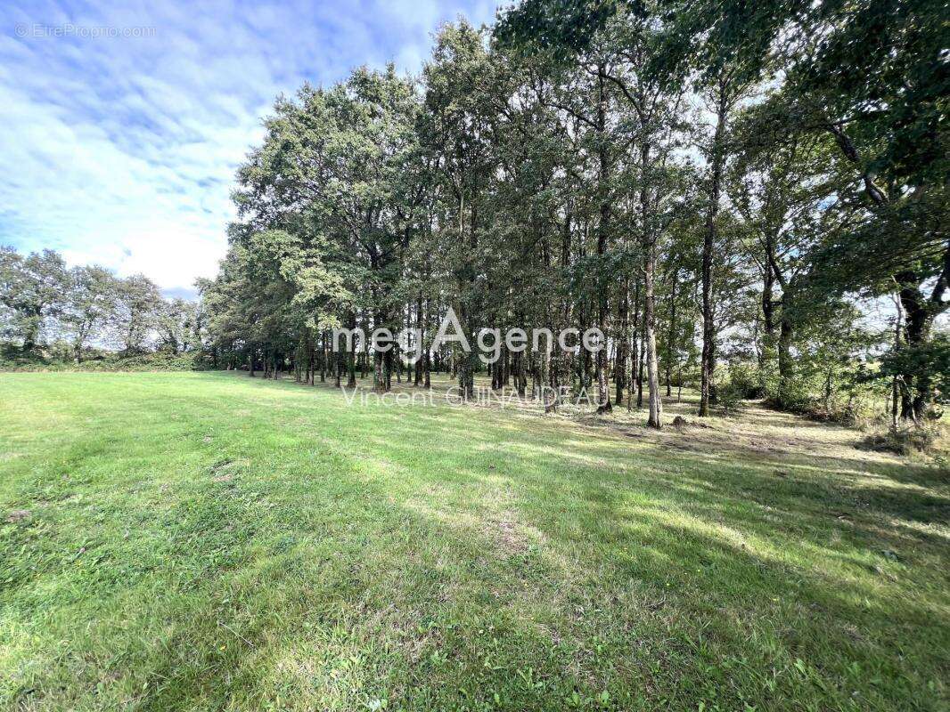 Terrain à BEGROLLES-EN-MAUGES