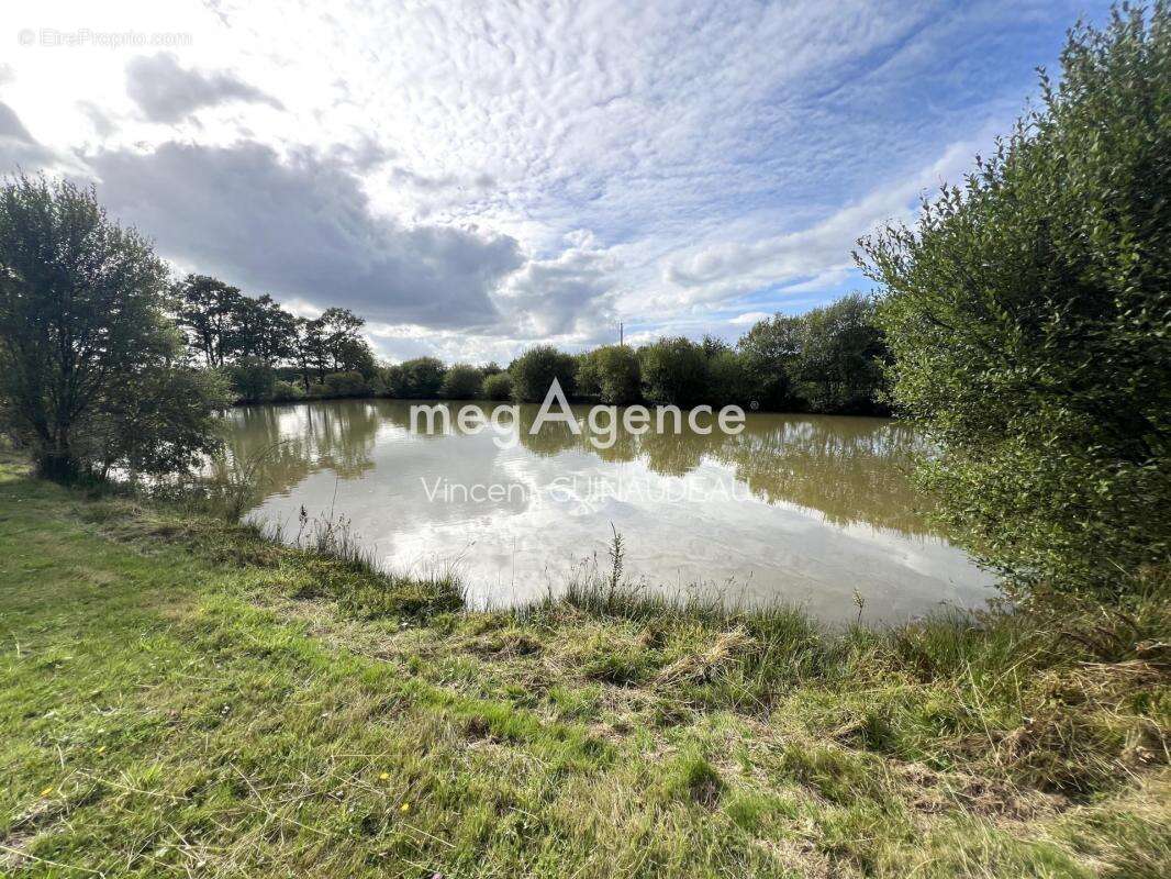 Terrain à BEGROLLES-EN-MAUGES
