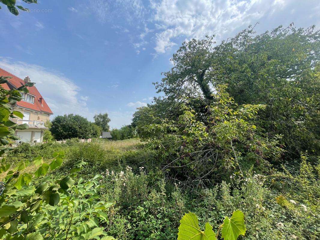 Terrain à CHATEAU-RENARD