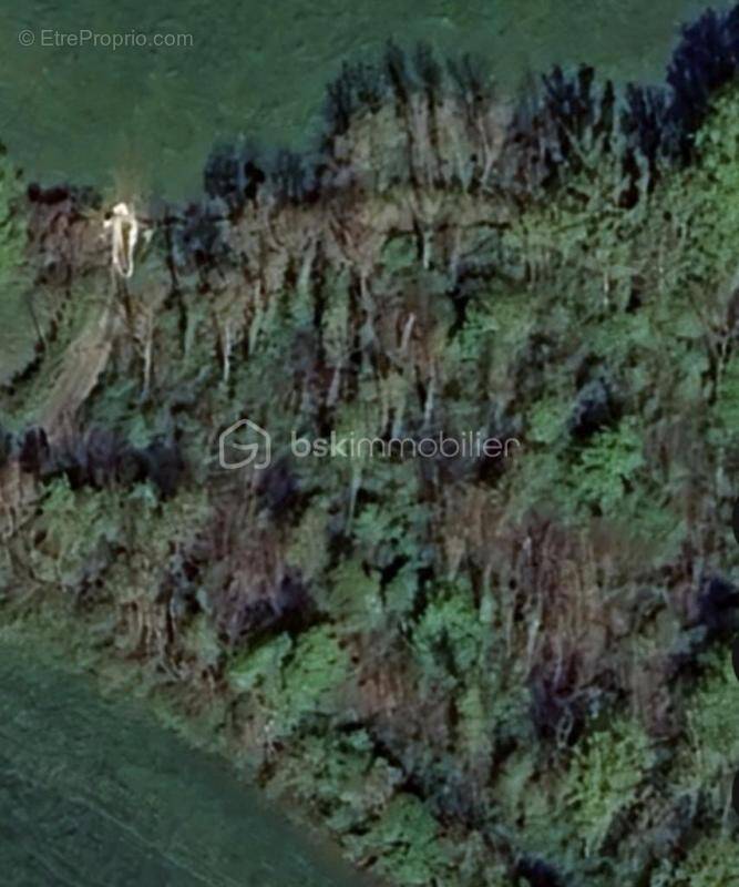 Terrain à MESNIL-SAINT-PERE