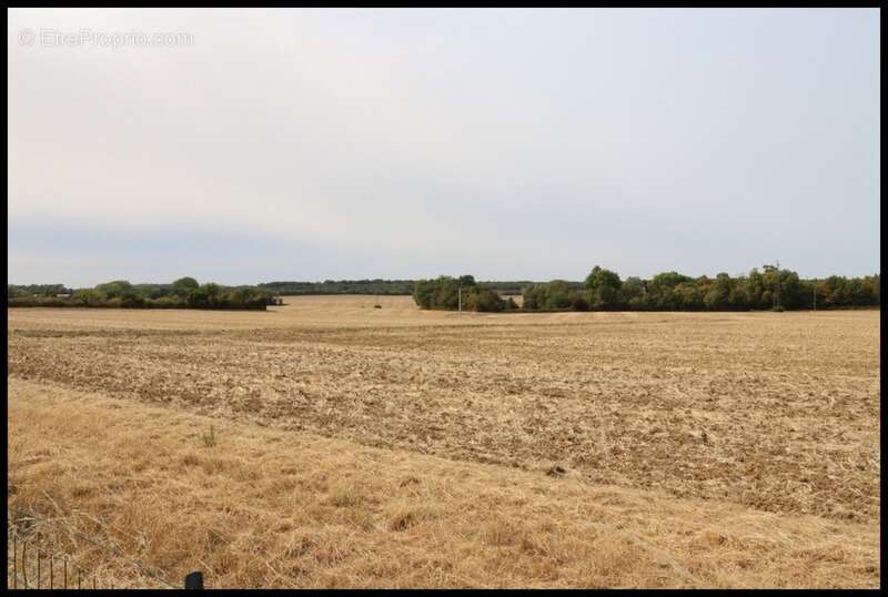 Maison à SAINT-DOULCHARD
